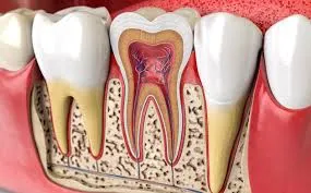 placeholder-landscape